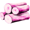 rose wood